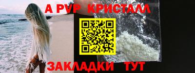 jwh Кингисепп