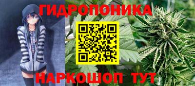 jwh Кингисепп