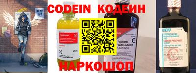 jwh Кингисепп