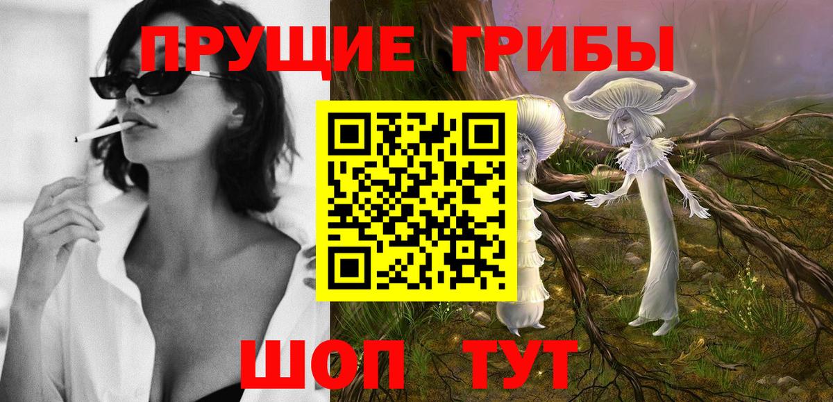 Псилоцибиновые грибы MAGIC MUSHROOMS  Галлюциногенные грибы GOLDEN TEACHER  Мыски  купить закладку  Вход с VPN 